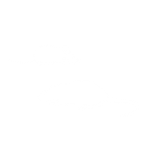 Mäuse- und Rattenbekämpfung